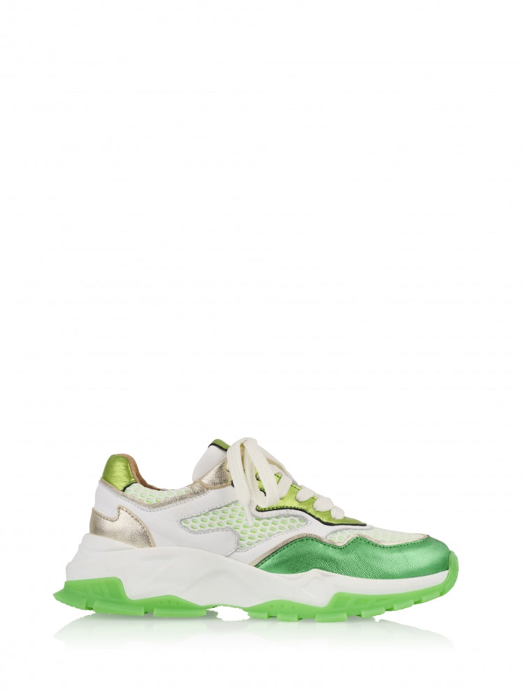 DWRS | CHESTER SNEAKERS - GREEN/WHITE