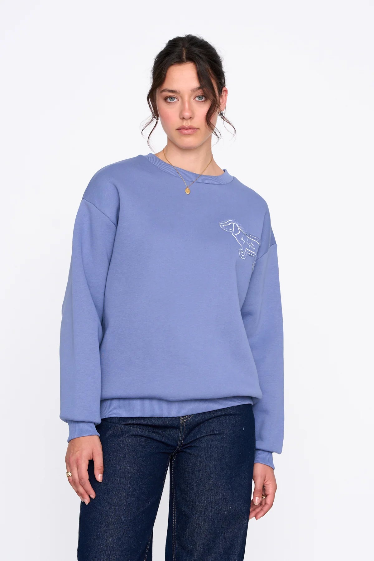 DACHSHUND SWEATSHIRT - BLUE