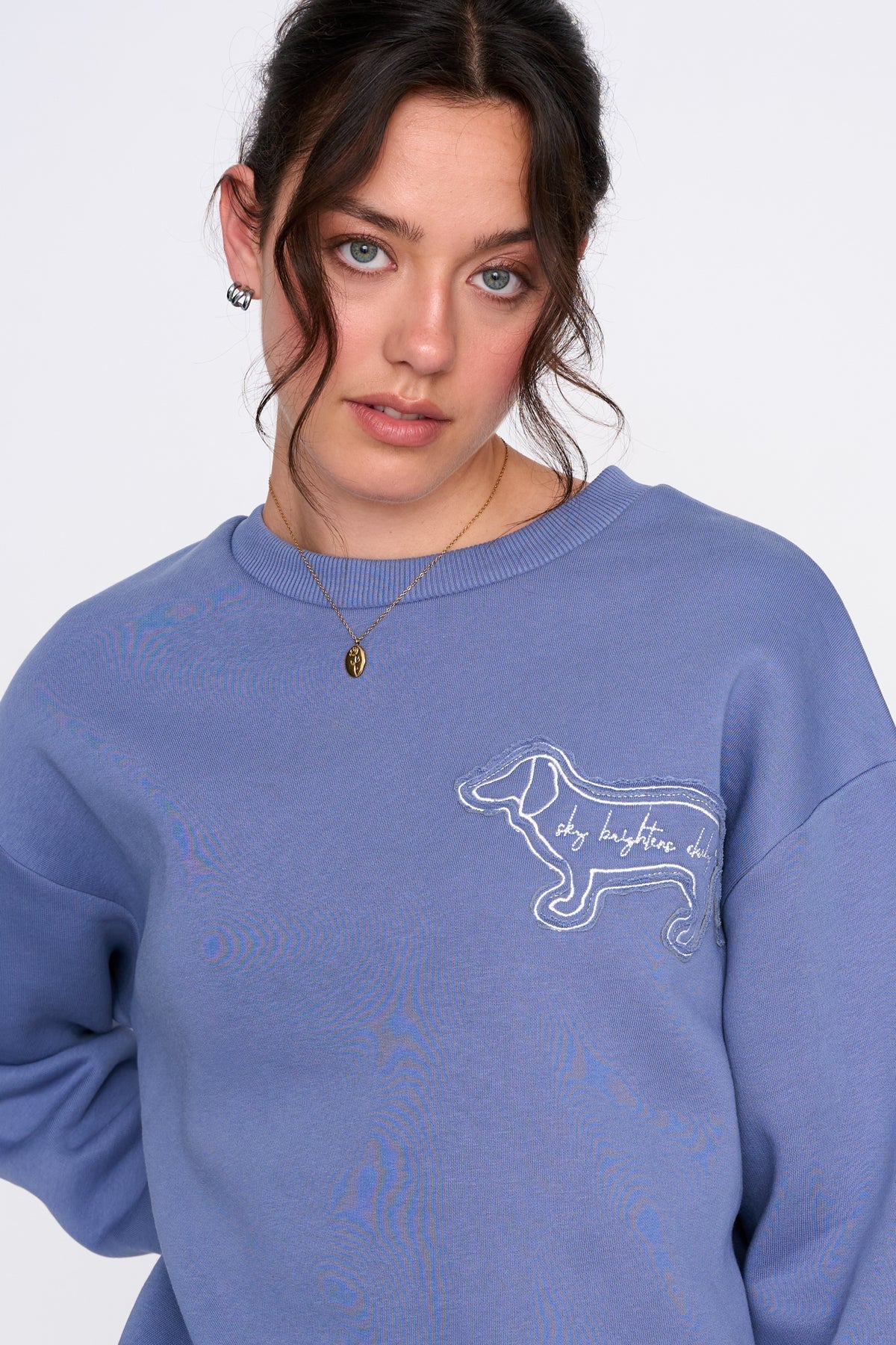 DACHSHUND SWEATSHIRT - BLUE